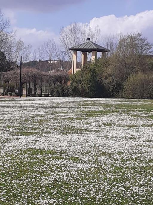 Dalla Rossa Montelupo Fiorentino Luaran gambar